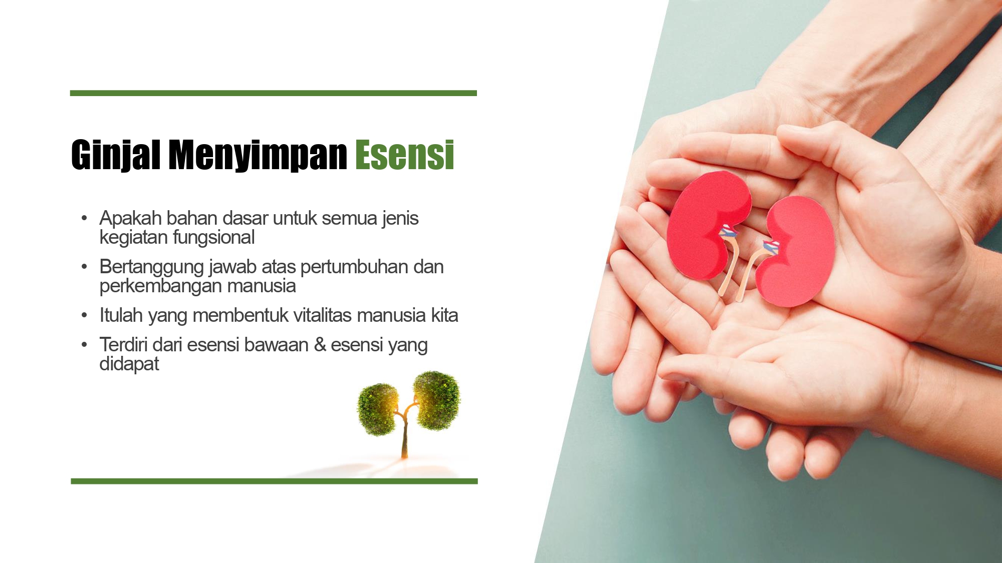 Education content image